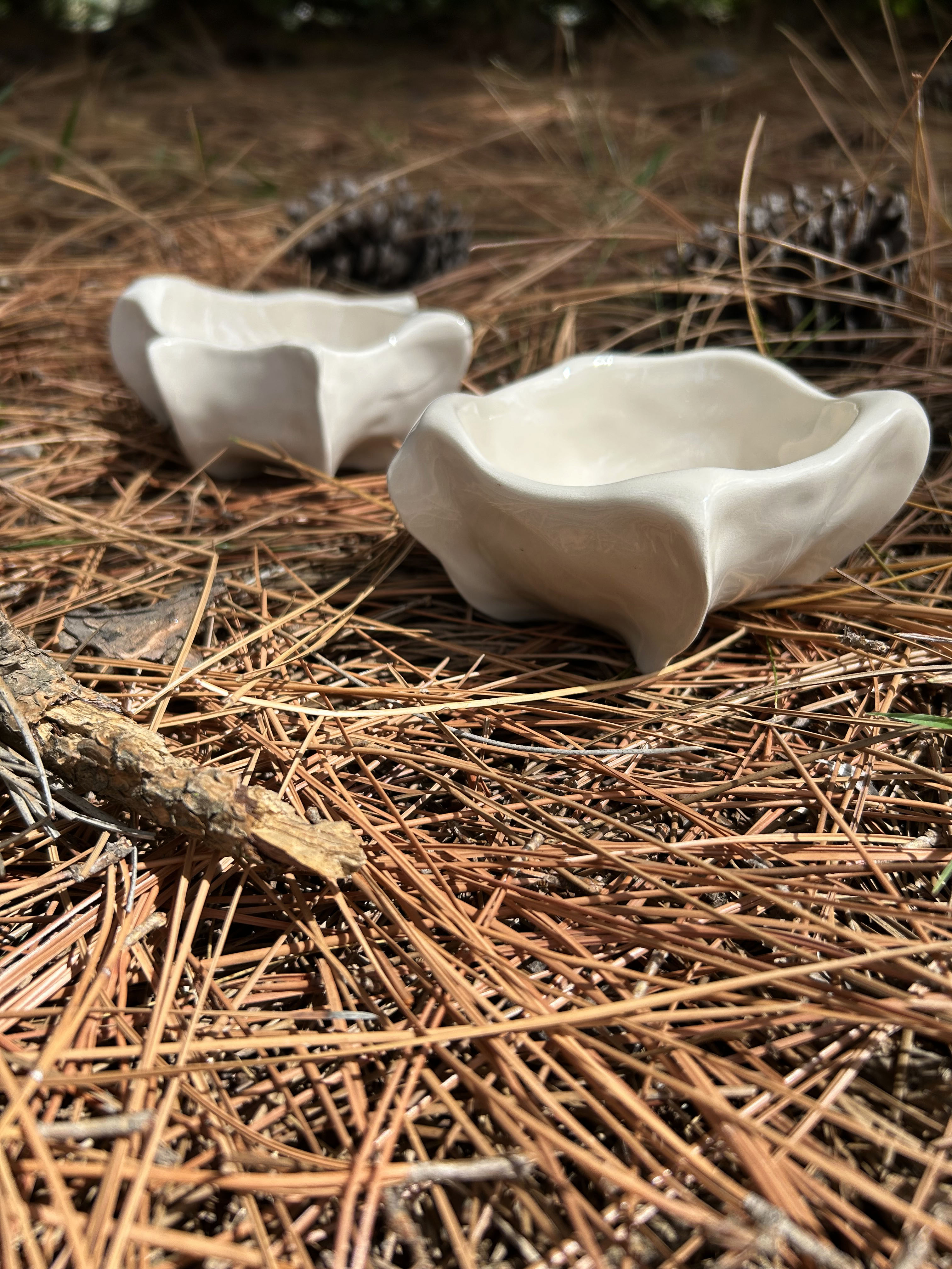 Mini Bowls in natural setting